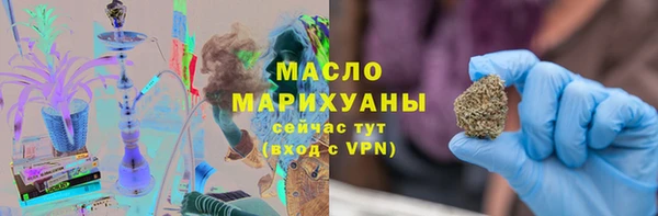амф Гусь-Хрустальный