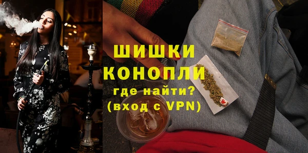 амф Гусь-Хрустальный