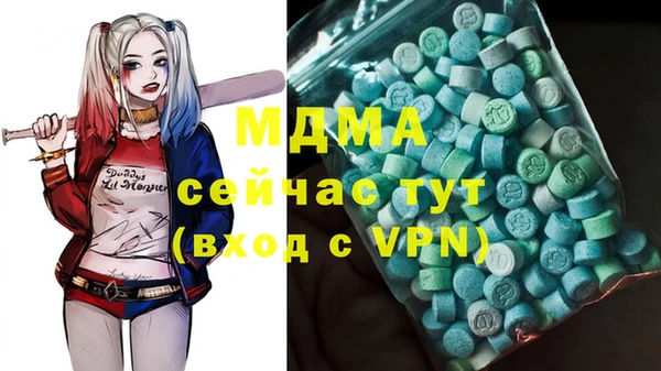амф Гусь-Хрустальный