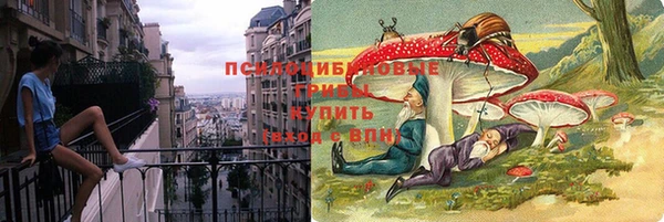 амф Гусь-Хрустальный