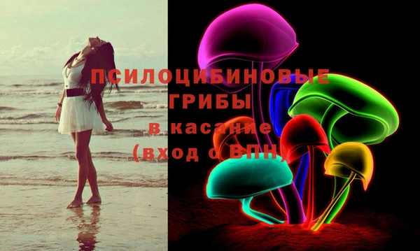 амф Гусь-Хрустальный