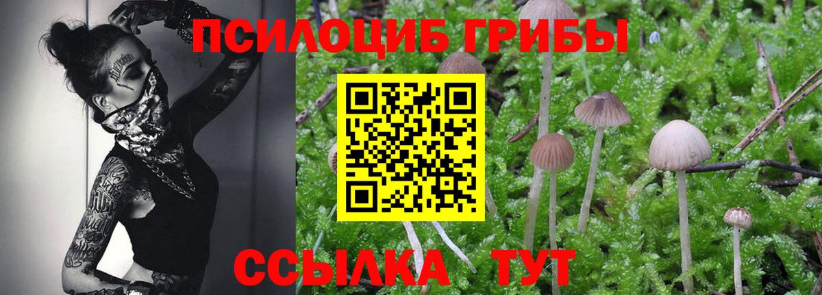 Псилоцибиновые грибы MAGIC MUSHROOMS  Ефремов 