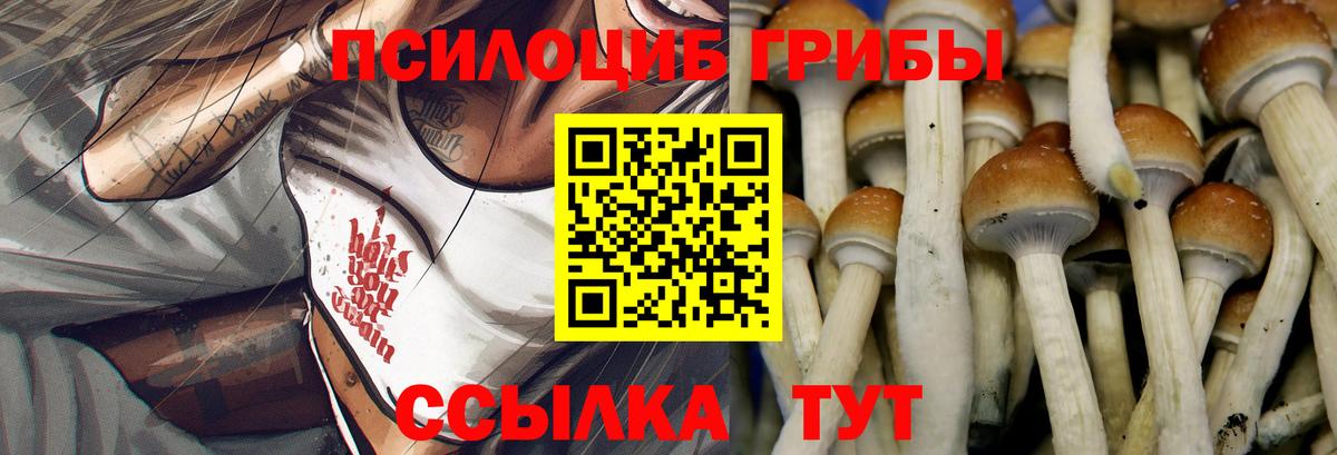 Ефремов  Галлюциногенные грибы прущие грибы  где купить наркоту  Галлюциногенные грибы Cubensis  Вход с VPN 
