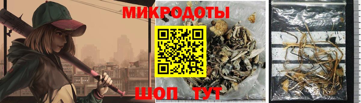 Галлюциногенные грибы ЛСД Ефремов